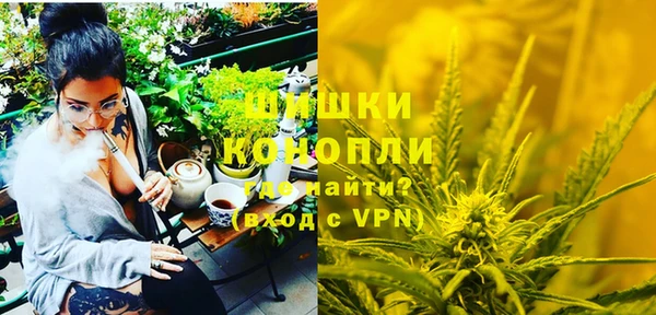 прущие крисы Вяземский