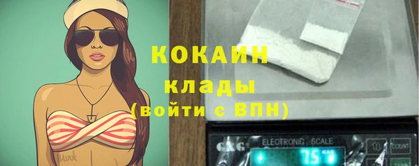 ALPHA PVP Горнозаводск